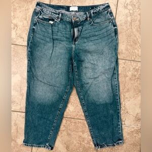 Lane Bryant Denim Boyfriend Jeans